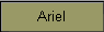 Ariel